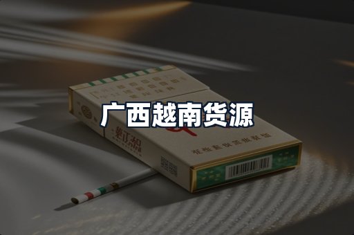广西越南货源